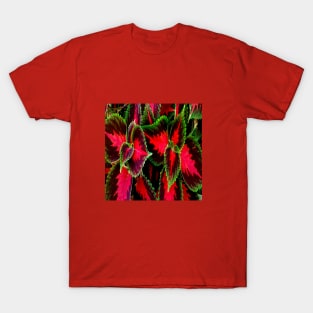 PRETTY AND COLORFUL DECORATIVES PLANTS T-Shirt